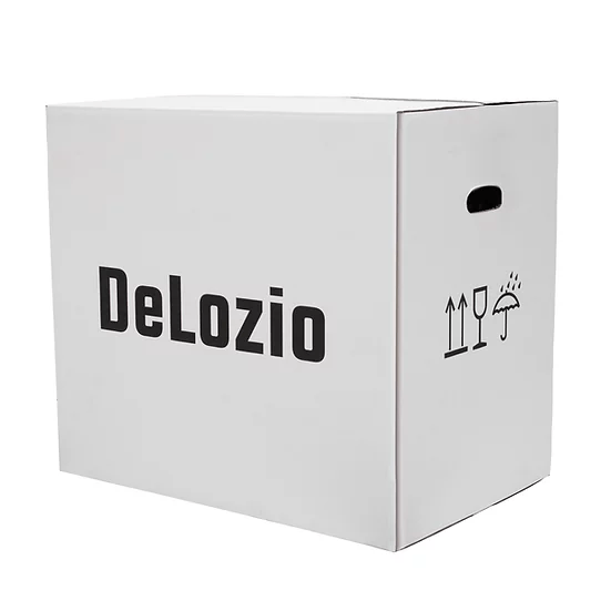 Nettoyeur vapeur domestique Delozio Alto™